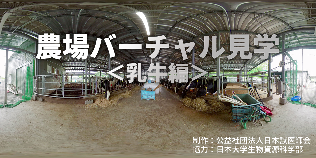 農場バーチャル見学＜乳牛編＞